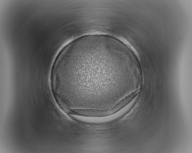 X0000111121189200907141144