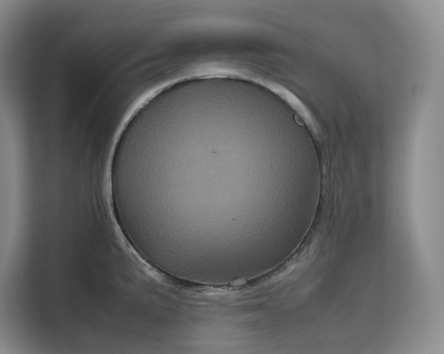 X0000111121191200907141144