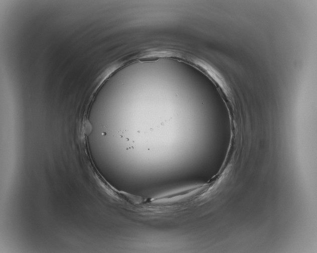 X0000111121193200907141144