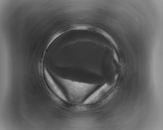 X0000111121194200907141144