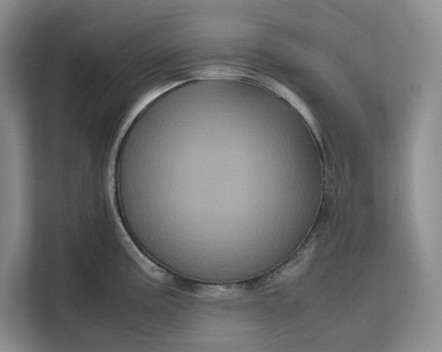 X0000111121195200907141144