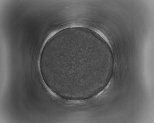 X0000111121197200907141144