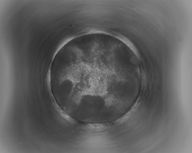 X0000111121198200907141144