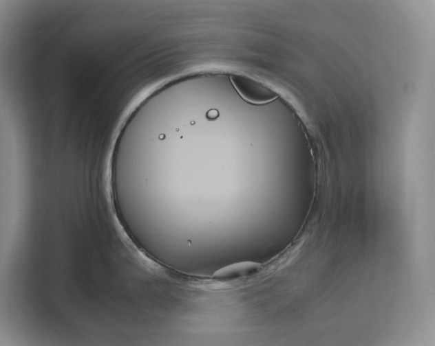 X0000111121199200907141144