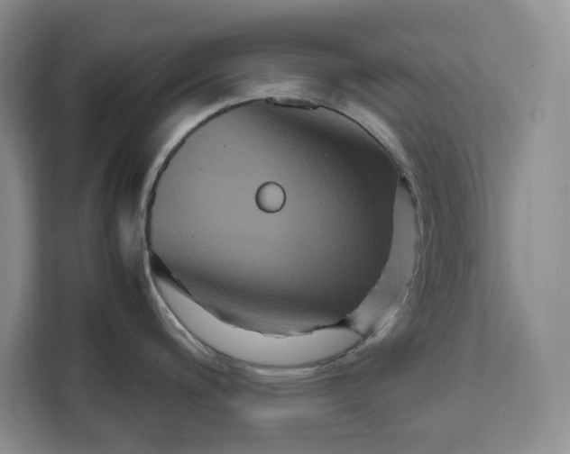 X0000111121200200907141144