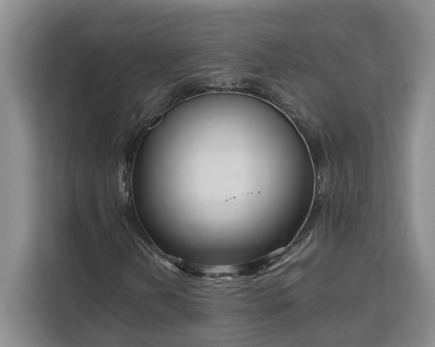 X0000111121202200907141144