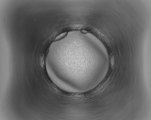 X0000111121204200907141144