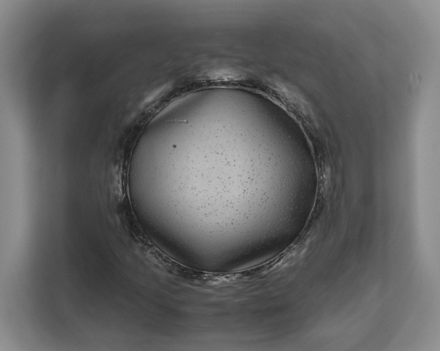 X0000111121205200907141144