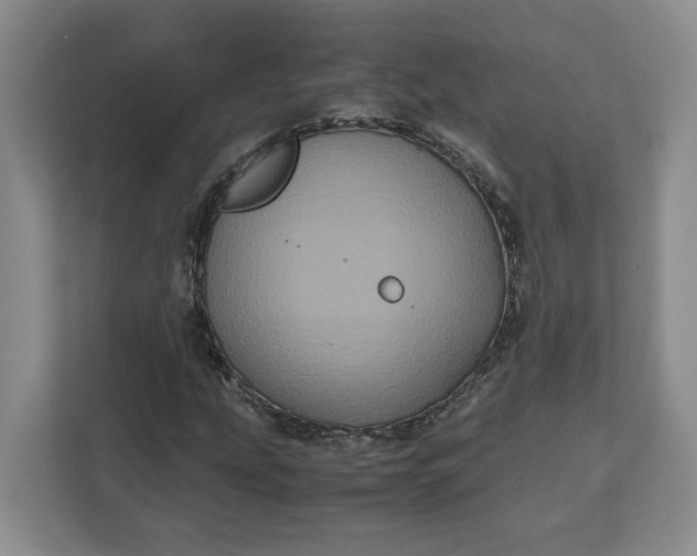 X0000111121207200907141144