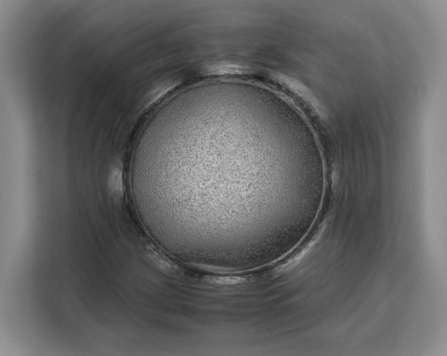 X0000111121209200907141144