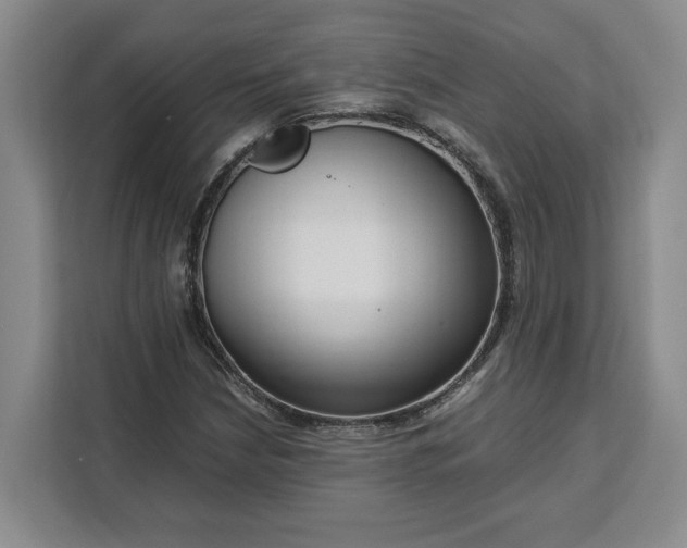 X0000111121210200907141144