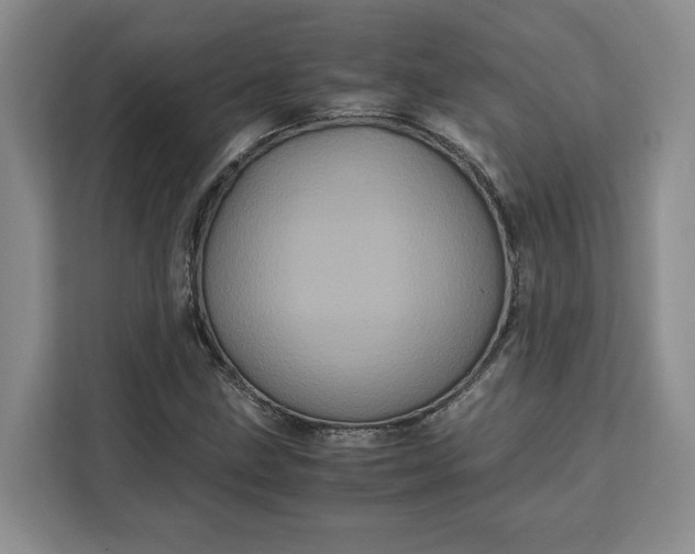 X0000111121211200907141144