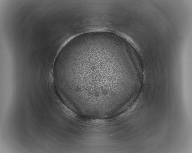 X0000111121212200907141144