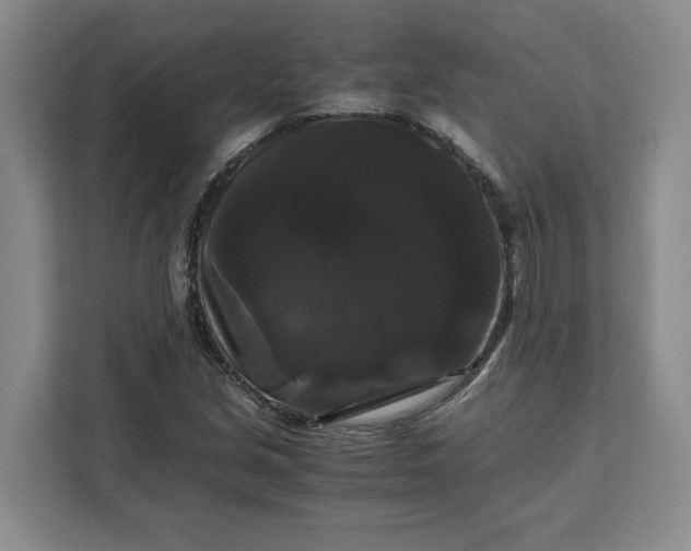 X0000111121213200907141144