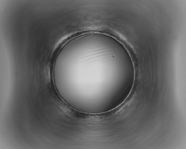 X0000111121214200907141144