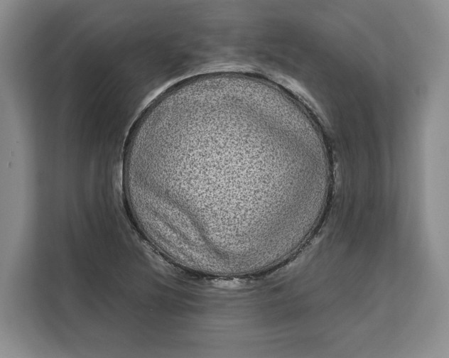 X0000111121220200907141144