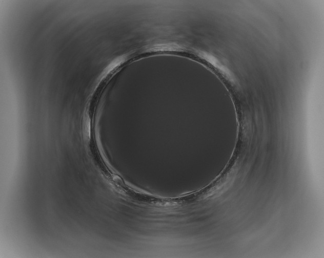 X0000111121221200907141144