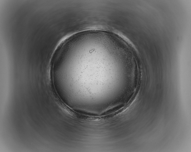 X0000111121222200907141144