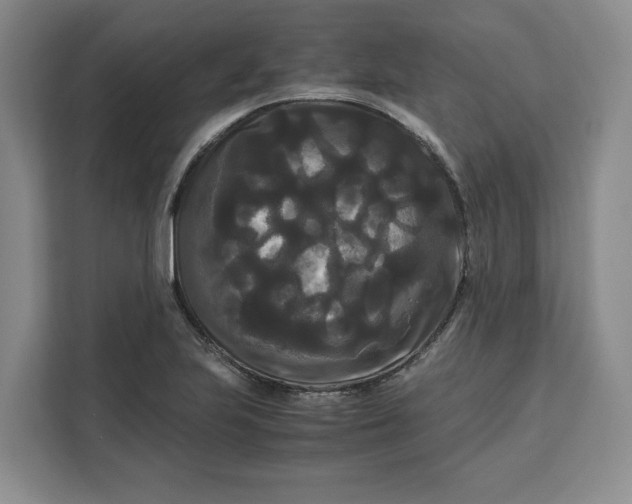 X0000111121223200907141144