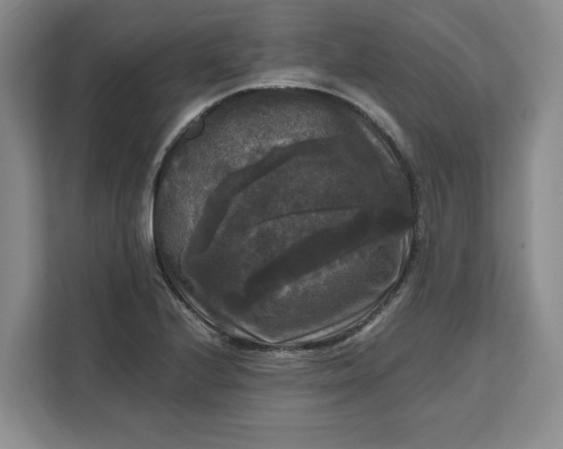 X0000111121224200907141144