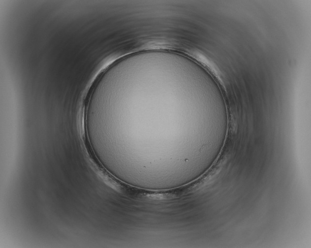 X0000111121227200907141144