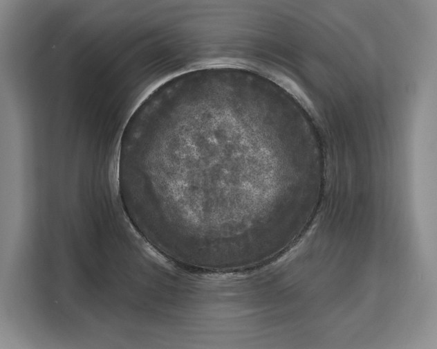 X0000111121228200907141144