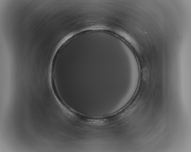 X0000111121229200907141144