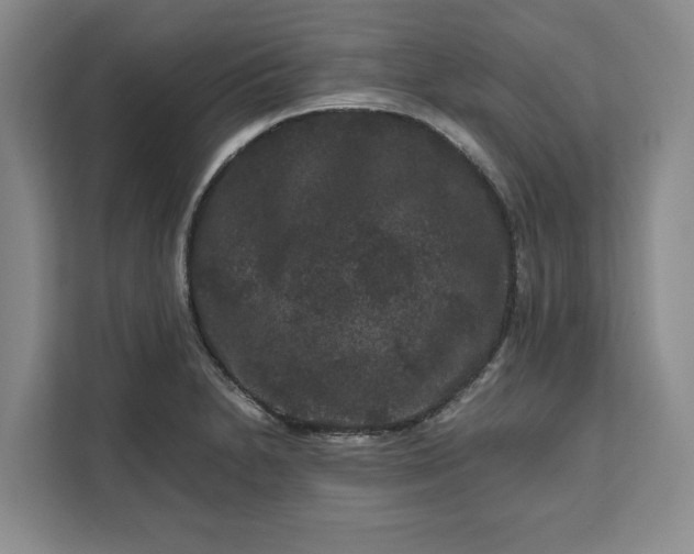 X0000111121230200907141144