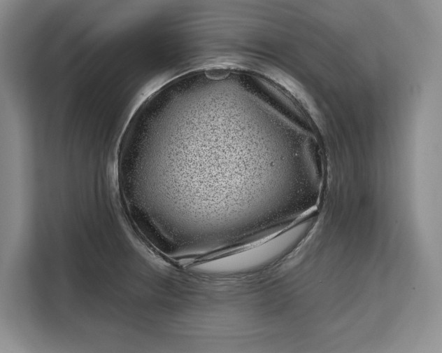 X0000111121234200907141144