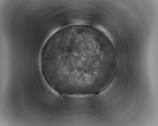 X0000111121235200907141144