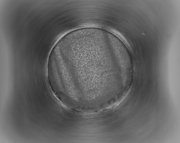 X0000111121236200907141144