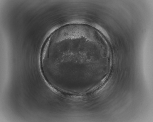 X0000111121237200907141144