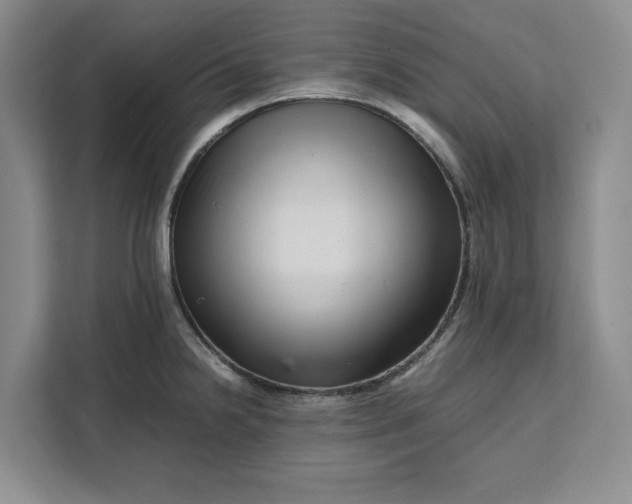 X0000111121238200907141144