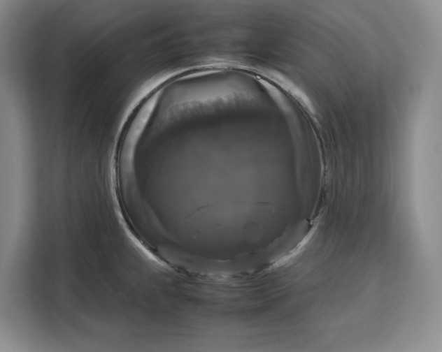 X0000111121239200907141144