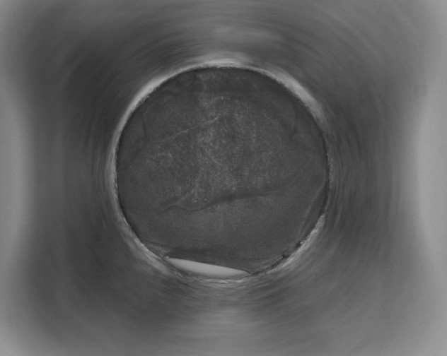 X0000111121240200907141144