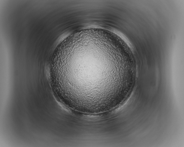 X0000111121241200907141144