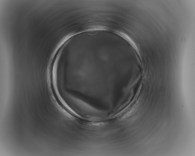 X0000111121243200907141144