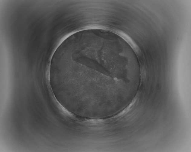 X0000111121244200907141144