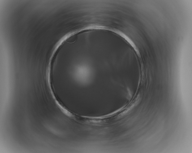 X0000111121245200907141144