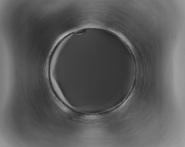 X0000111121246200907141144