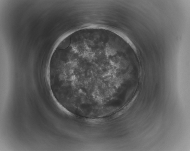 X0000111121247200907141144