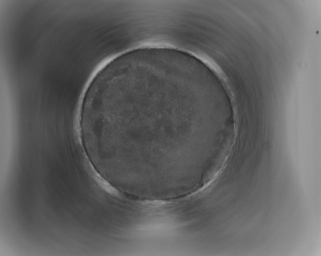 X0000111121248200907141144