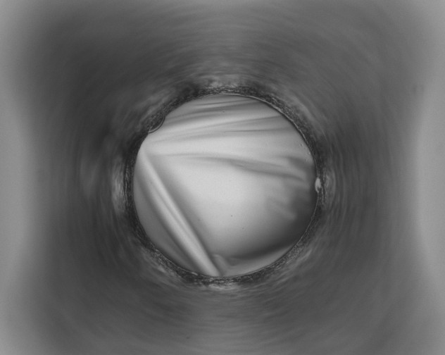 X0000111121250200907141144