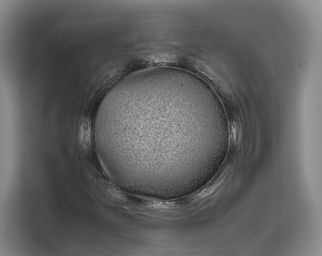 X0000111121251200907141144