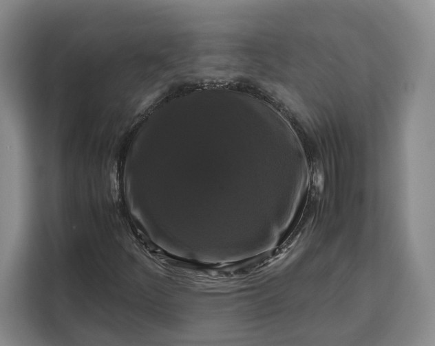 X0000111121252200907141144