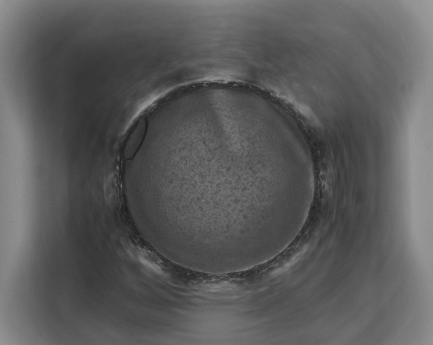 X0000111121256200907141144