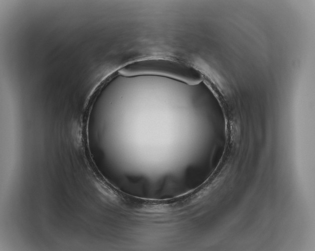 X0000111121260200907141144