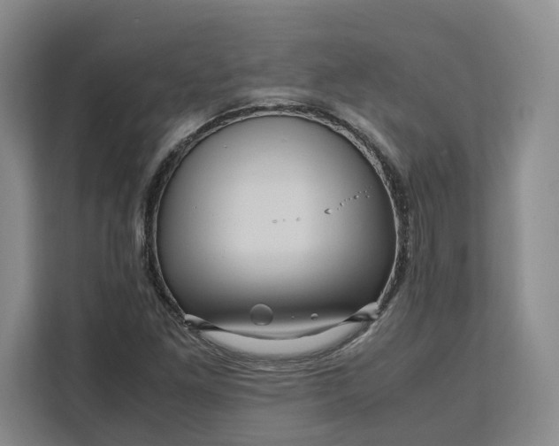 X0000111121261200907141144