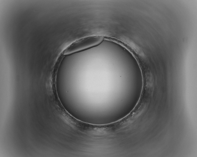 X0000111121264200907141143