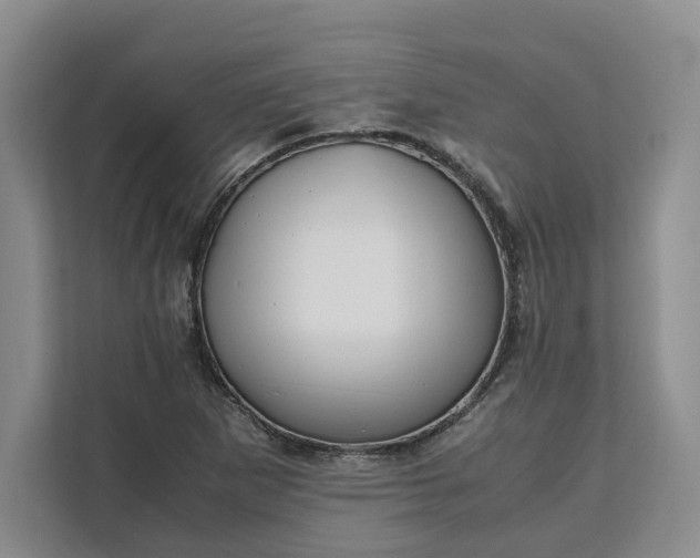 X0000111121265200907141143